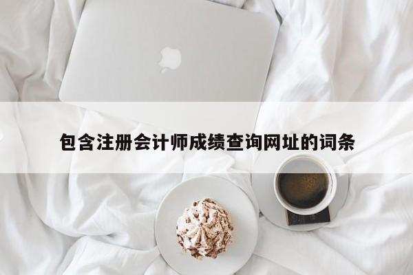 包含注册会计师成绩查询网址的词条