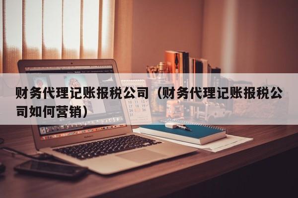 财务代理记账报税公司（财务代理记账报税公司如何营销）