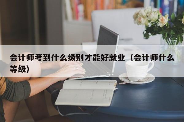 会计师考到什么级别才能好就业（会计师什么等级）