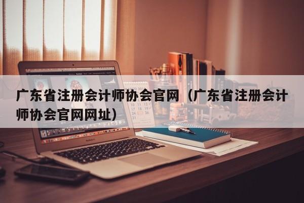 广东省注册会计师协会官网（广东省注册会计师协会官网网址）