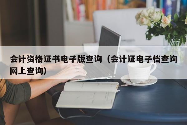 会计资格证书电子版查询（会计证电子档查询网上查询）