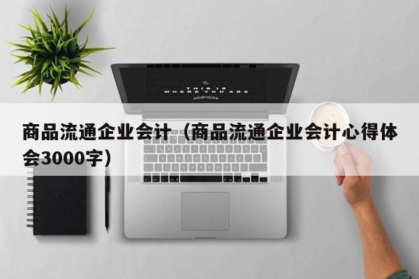 商品流通企业会计（商品流通企业会计心得体会3000字）