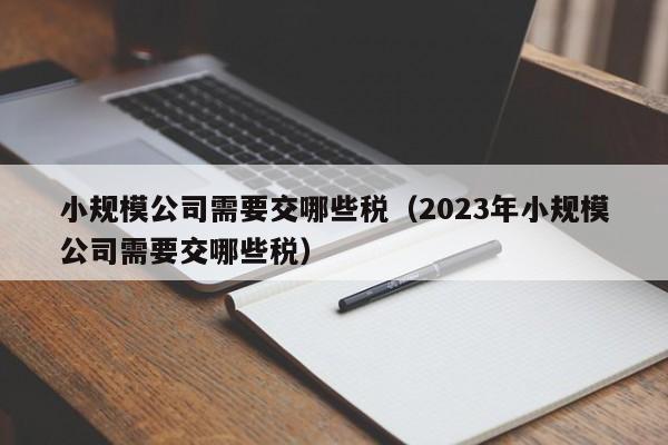 小规模公司需要交哪些税（2023年小规模公司需要交哪些税）