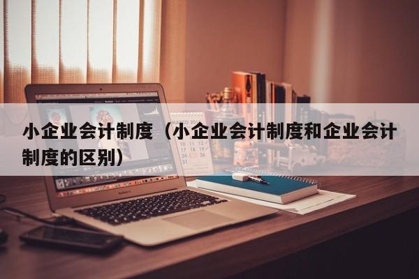 小企业会计制度（小企业会计制度和企业会计制度的区别）