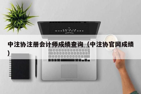 中注协注册会计师成绩查询（中注协官网成绩）