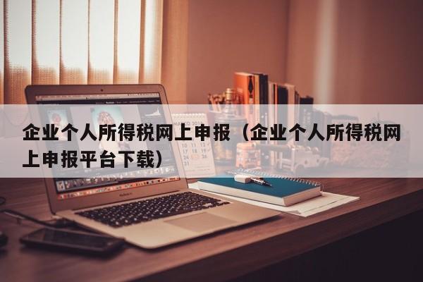 企业个人所得税网上申报（企业个人所得税网上申报平台下载）