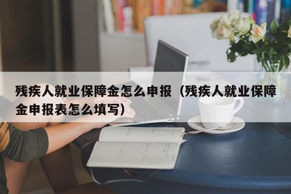 残疾人就业保障金怎么申报（残疾人就业保障金申报表怎么填写）