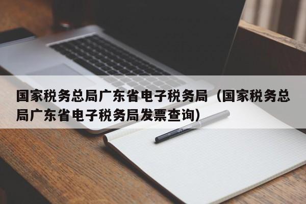 国家税务总局广东省电子税务局（国家税务总局广东省电子税务局发票查询）