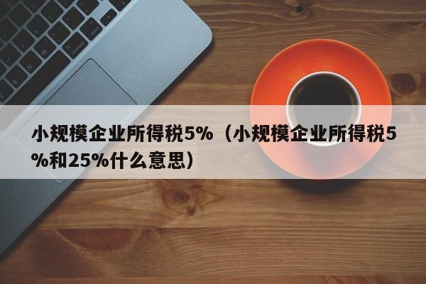 小规模企业所得税5%（小规模企业所得税5%和25%什么意思）