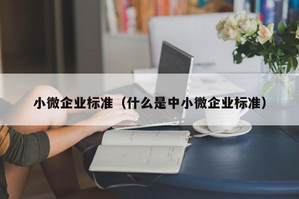 小微企业标准（什么是中小微企业标准）