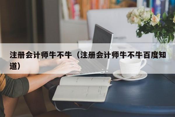 注册会计师牛不牛（注册会计师牛不牛百度知道）