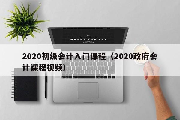 2020初级会计入门课程（2020政府会计课程视频）