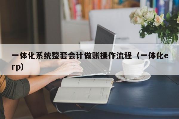 一体化系统整套会计做账操作流程（一体化erp）