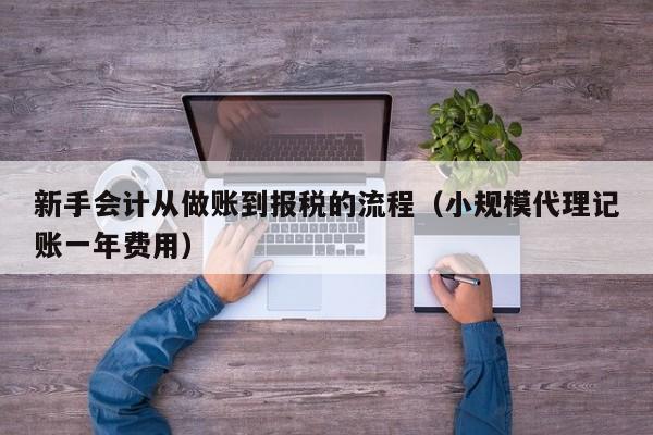 新手会计从做账到报税的流程（小规模代理记账一年费用）