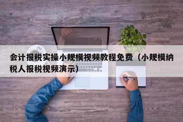 会计报税实操小规模视频教程免费（小规模纳税人报税视频演示）