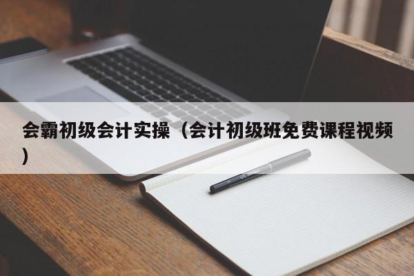 会霸初级会计实操（会计初级班免费课程视频）