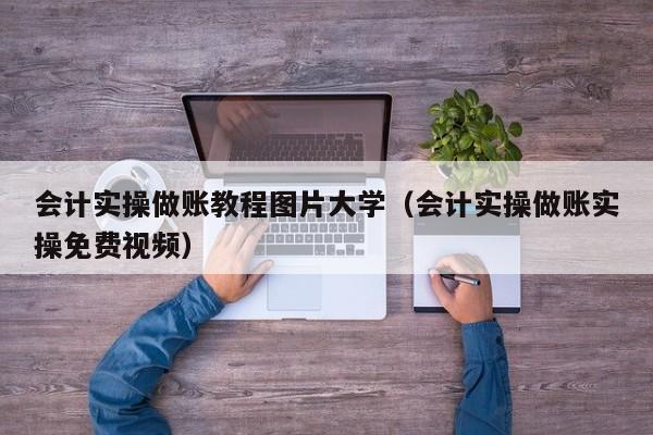 会计实操做账教程图片大学（会计实操做账实操免费视频）